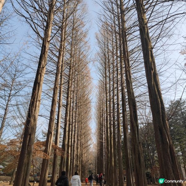 童年回憶之韓劇_南怡島