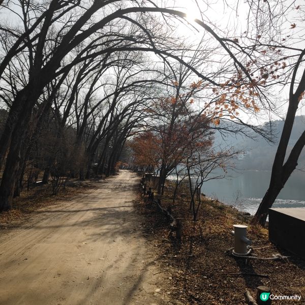 童年回憶之韓劇_南怡島