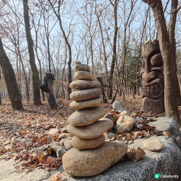 童年回憶之韓劇_南怡島