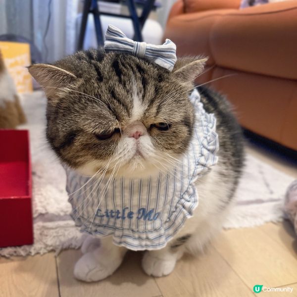 你放左d咩喺我個頭度呀？