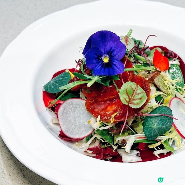 🎄 聖誕必吃! 聖誕大餐