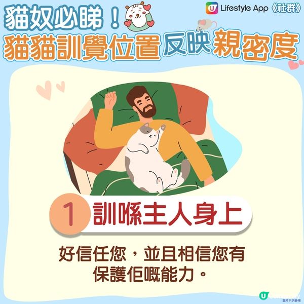 【貓貓冷知識】訓覺位置反映同主人嘅親密度🤔？