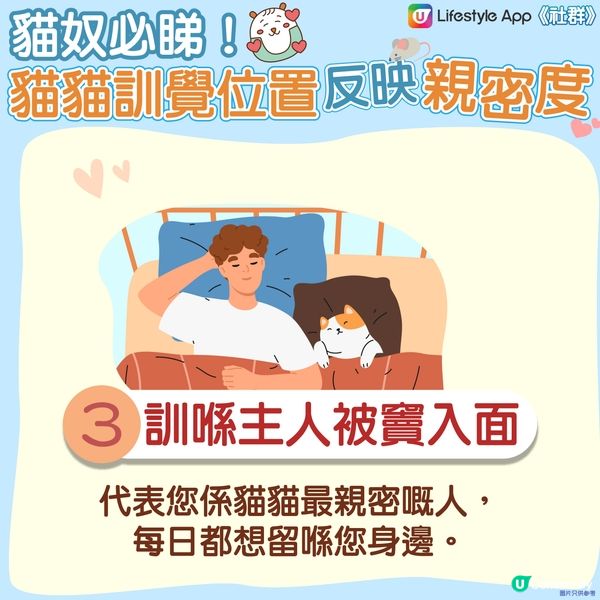 【貓貓冷知識】訓覺位置反映同主人嘅親密度🤔？