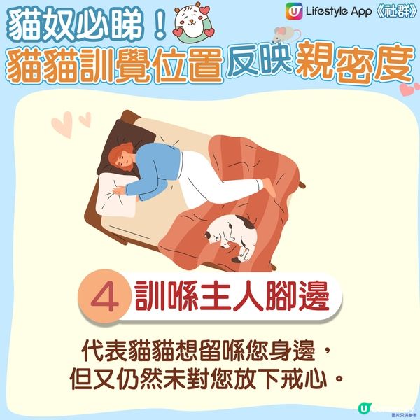 【貓貓冷知識】訓覺位置反映同主人嘅親密度🤔？