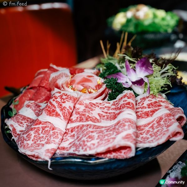 建議收藏‼️打邊爐可以包箱，仲食埋私房菜