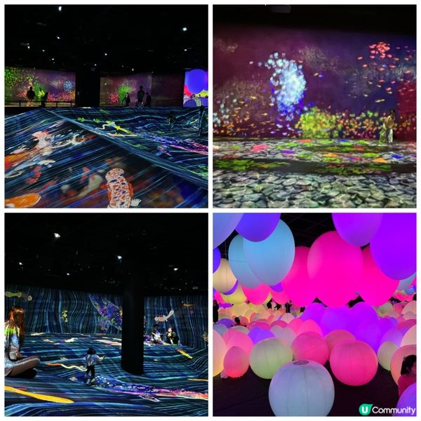 「深圳teamLab共創！未來園」