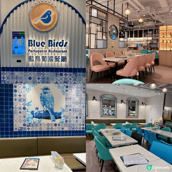 性價比十足嘅「藍鳥葡國餐廳」👄👄