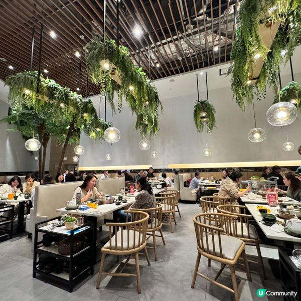 📝【深業上城•鳳凰四季】美團團購探店實錄，竹笙皇海南三寶椰子...