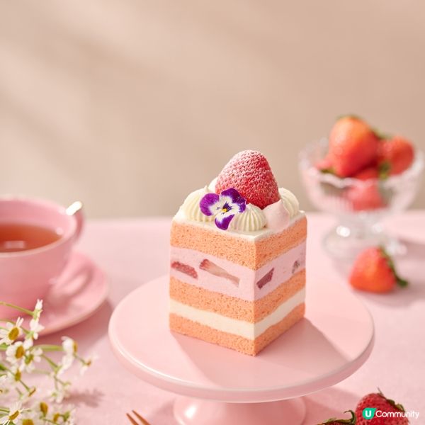 【送禮🎁】請您食LIFETASTIC日本草莓蛋糕！