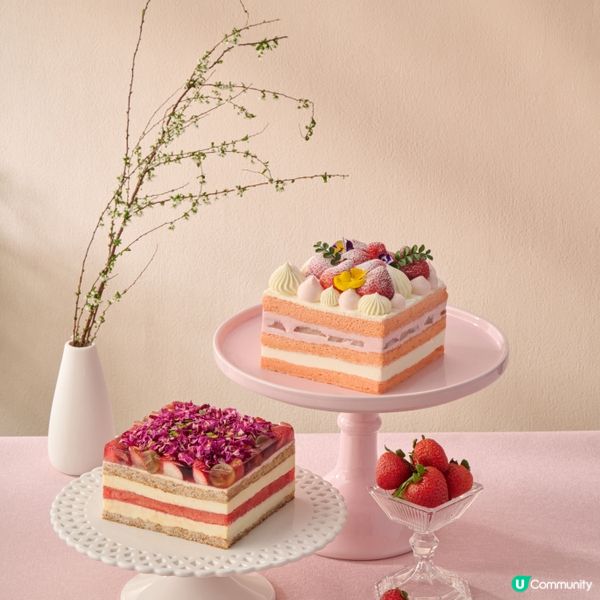 【送禮🎁】請您食LIFETASTIC日本草莓蛋糕！