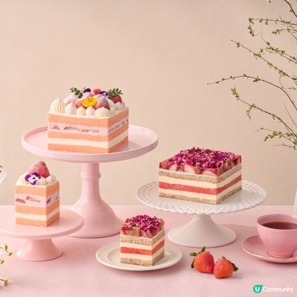 【送禮🎁】請您食LIFETASTIC日本草莓蛋糕！