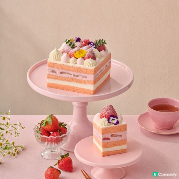 【送禮🎁】請您食LIFETASTIC日本草莓蛋糕！