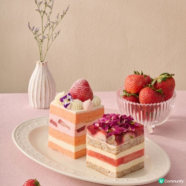 【送禮🎁】請您食LIFETASTIC日本草莓蛋糕！