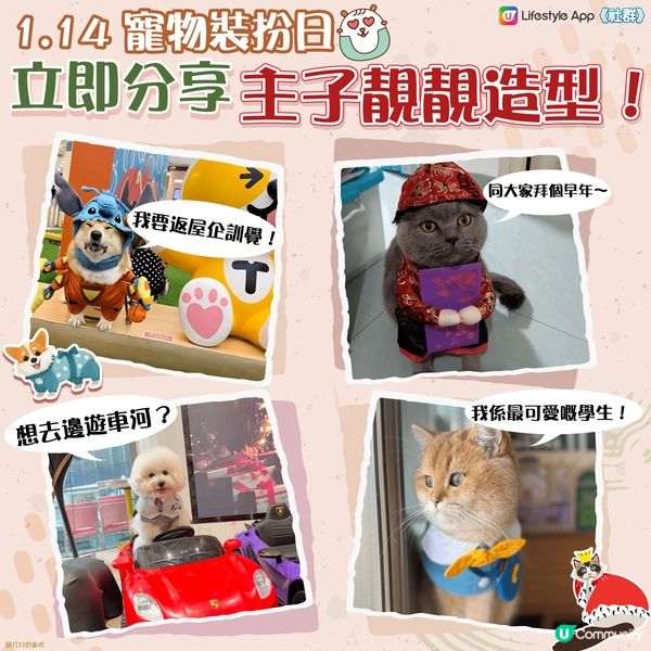 【寵物裝扮日】分享主子得意造型！
