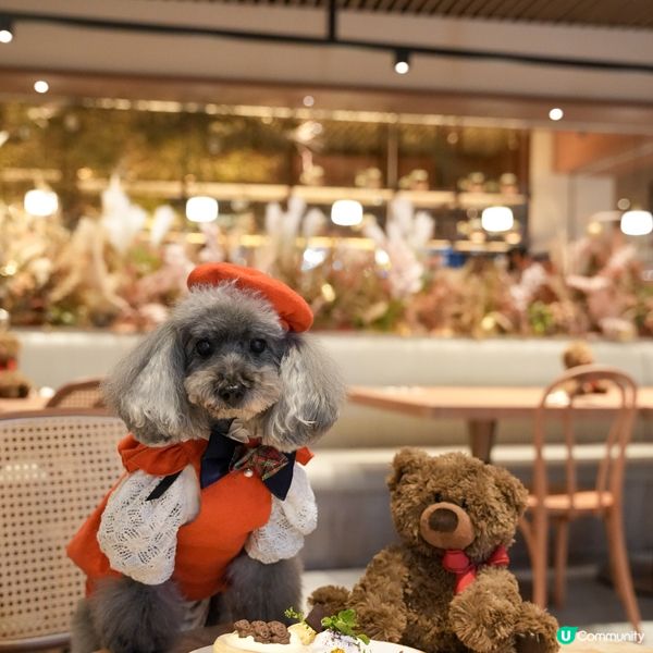 靚靚打卡甜品疏乎厘pancake