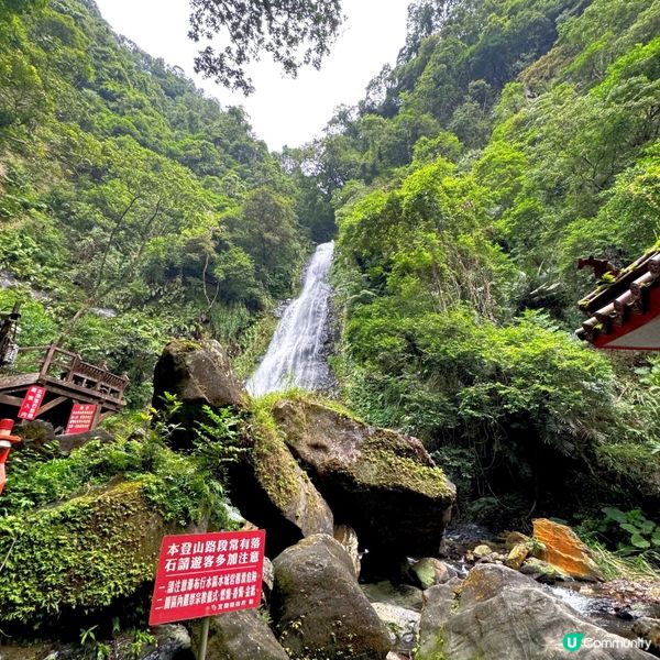 台灣七天*晶華*遊@Wellspring by Silks