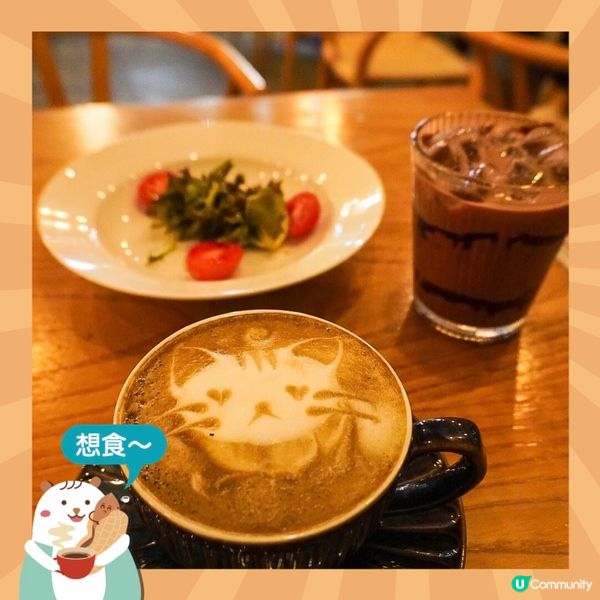 最近去咗呢間旺角樓上貓Cafe😺環境、貓咪、食物質素都滿意，...