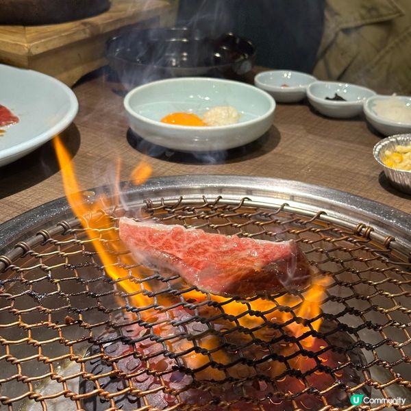 #想去就去#龍重登場#2024美肌秘密