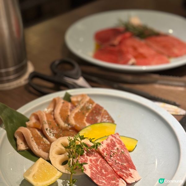 #想去就去#龍重登場#2024美肌秘密