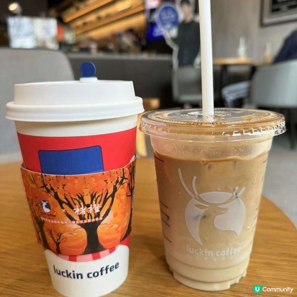 帶你認識全中國最火的小藍杯‼️