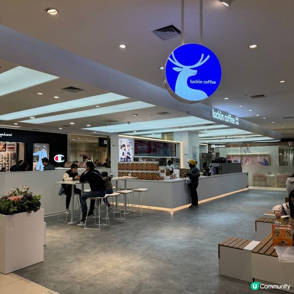 帶你認識全中國最火的小藍杯‼️