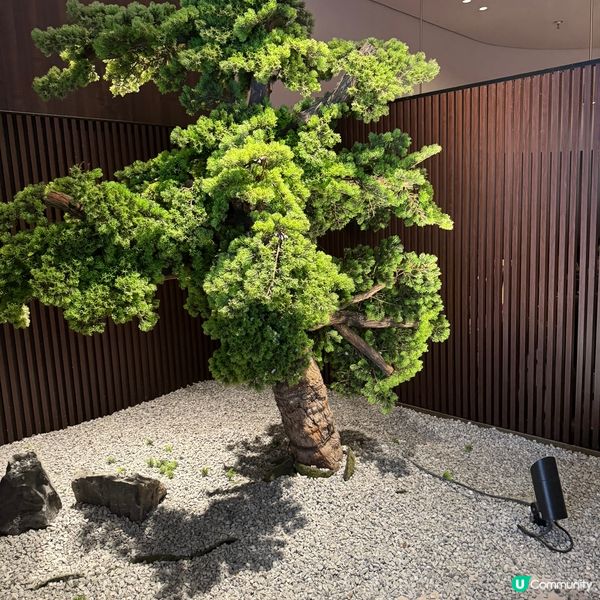 深圳人氣飲品店推介！爆紅排長龍阿嬤手作風頭蓋過喜茶 ?