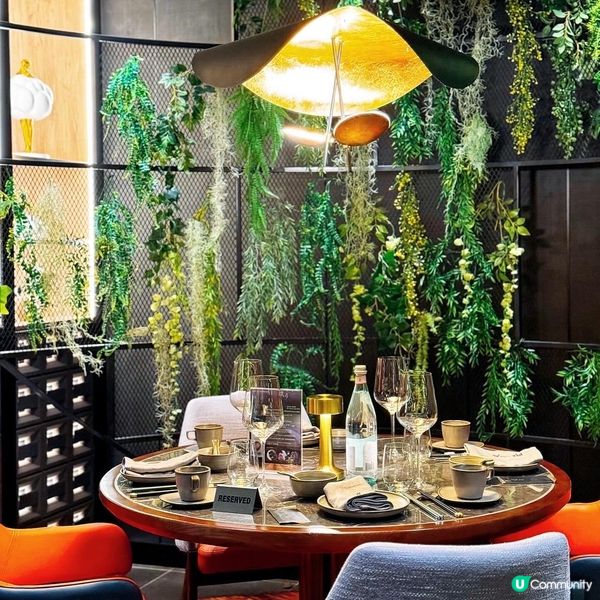 😍 像真度高石獅子! 高級新派中菜館