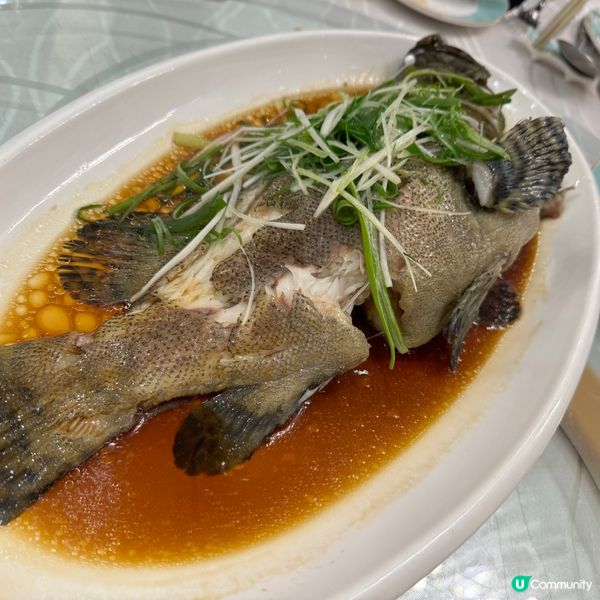 2024觀塘區開年飯及團年飯酒樓推介‼️