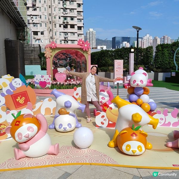 熊貓陪你渡新歲