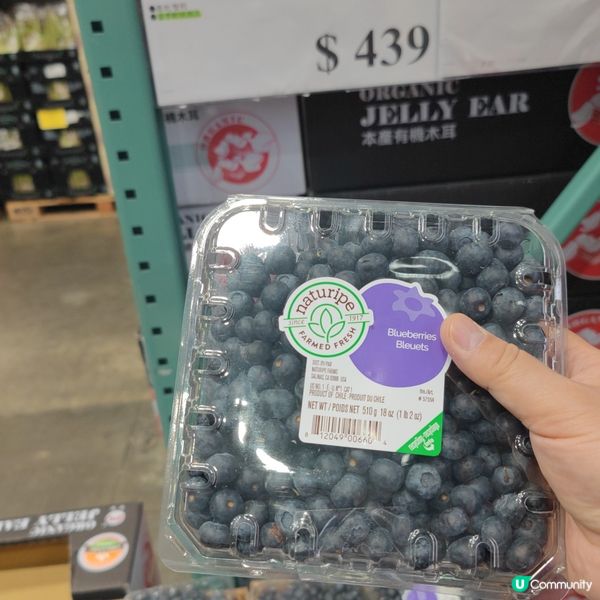 #世界第一costco 在台中