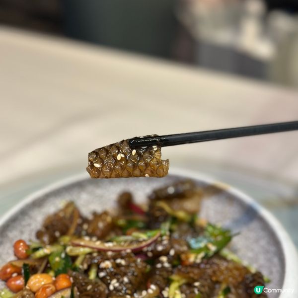 北上覓食！羲和雅苑．片皮鴨．價錢平過香港一半