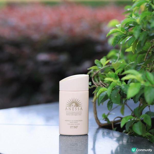 ☀️🌤️ ｛ANESSA｝極防水輕爽低敏UV乳液 