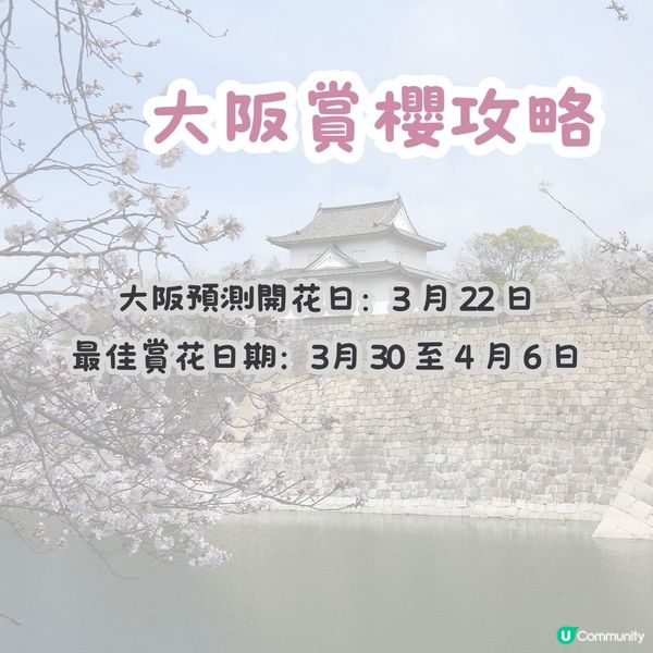 大阪賞櫻路線🌸三個賞櫻點+認識大阪歷史！