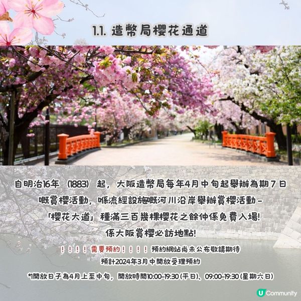 大阪賞櫻路線🌸三個賞櫻點+認識大阪歷史！