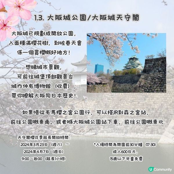 大阪賞櫻路線🌸三個賞櫻點+認識大阪歷史！