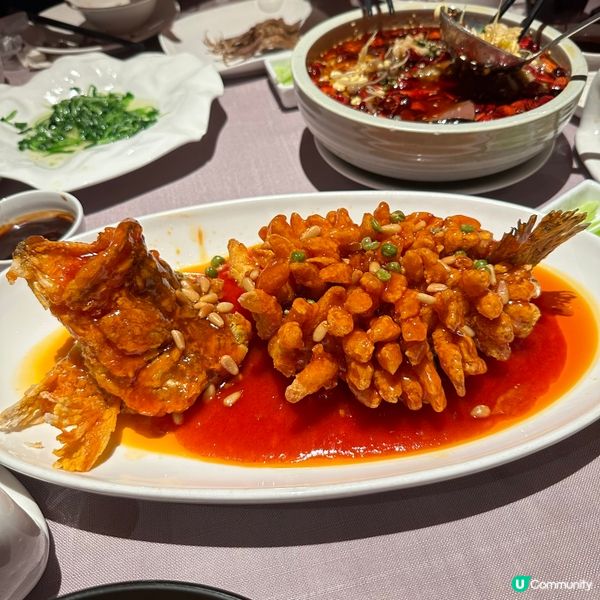 深圳高質北京填鴨·金鴨季