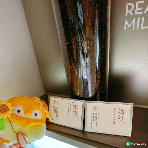 喜茶好出色🥴👍