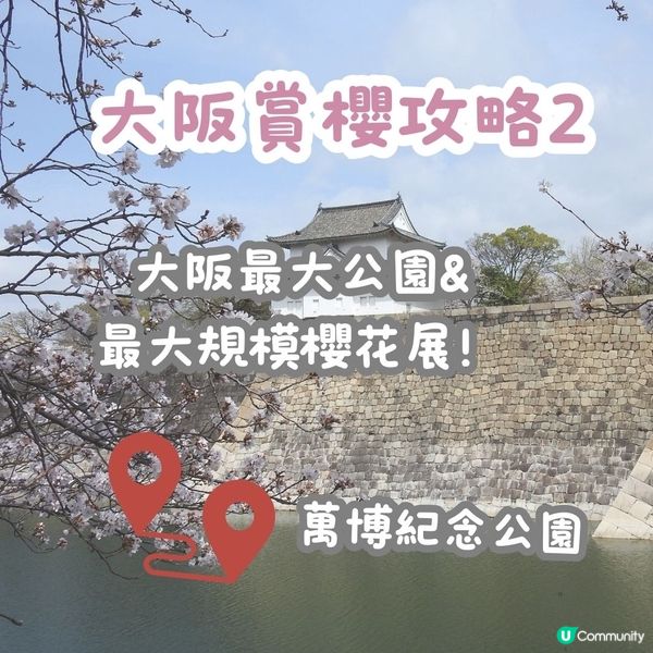 大阪賞櫻攻略2🌸萬博紀念公園大型櫻花祭😍