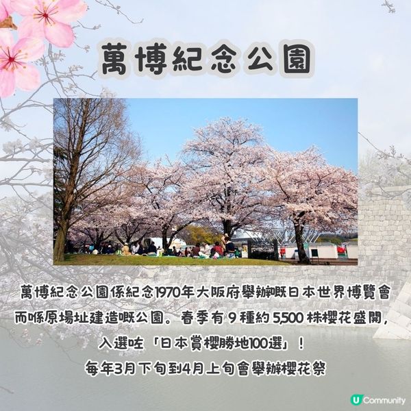 大阪賞櫻攻略2🌸萬博紀念公園大型櫻花祭😍