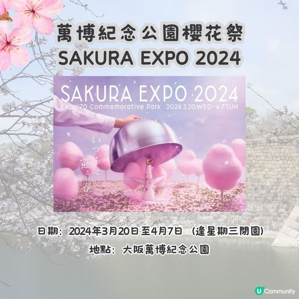 大阪賞櫻攻略2🌸萬博紀念公園大型櫻花祭😍