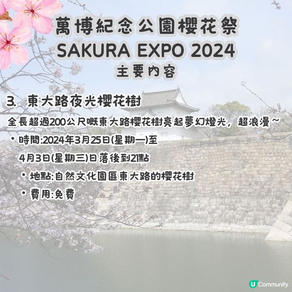 大阪賞櫻攻略2🌸萬博紀念公園大型櫻花祭😍