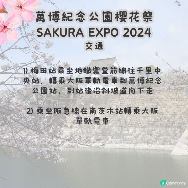 大阪賞櫻攻略2🌸萬博紀念公園大型櫻花祭😍