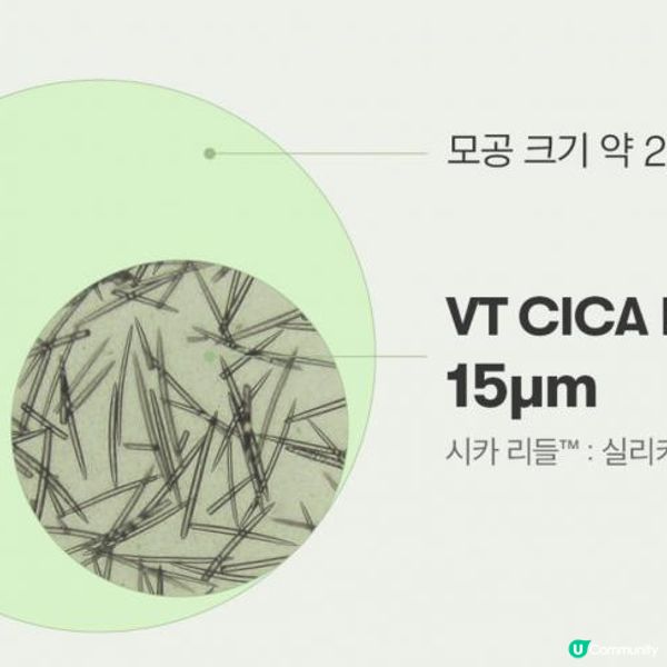 VT Reedle微針，係咪真係有用？MTS/韓國海棉骨針比較！