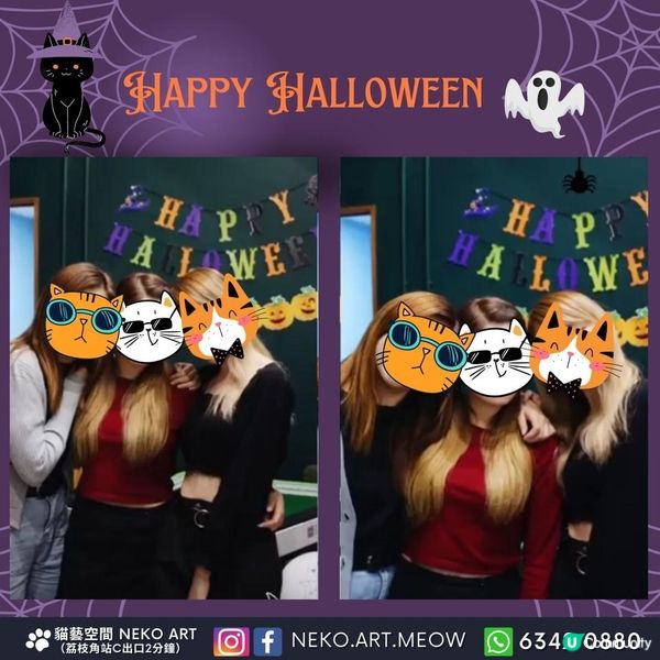 【🐱貓主題Helloween派對】荔枝角小型派對場地｜世界名貓復古風活動房間