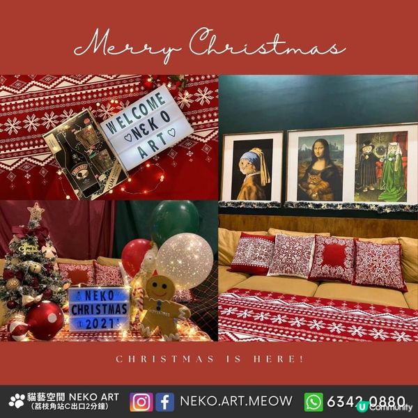 【🐱聖誕派對推介】貓貓主題派對｜唱K、麻將、Switch、Boardgame、韓燒、火鍋
