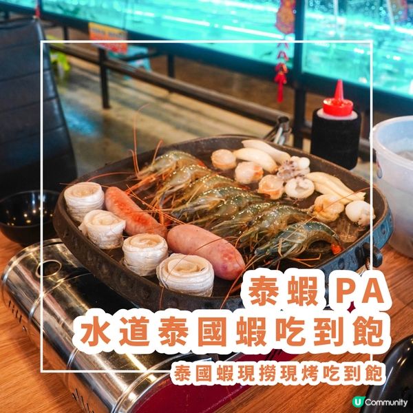 【泰國蝦現撈現烤吃到飽】 