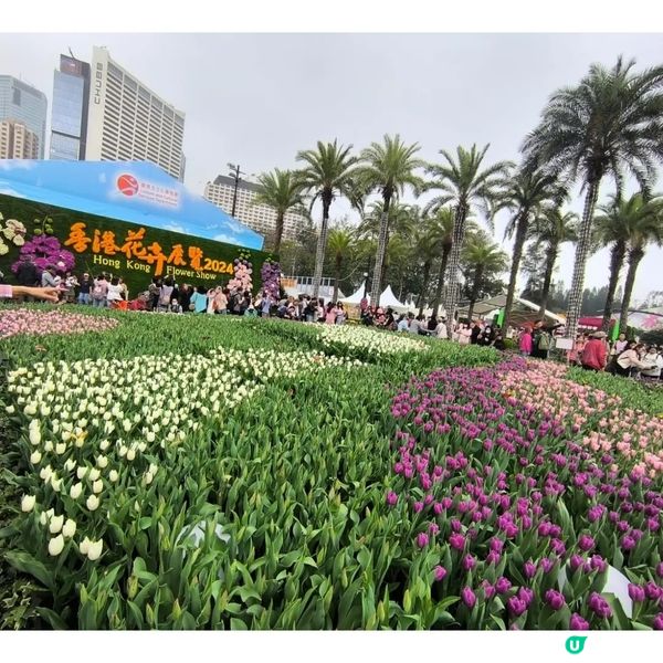 香港花卉展覽2024