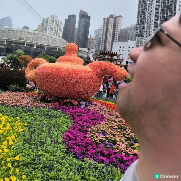 香港花卉展覽2024