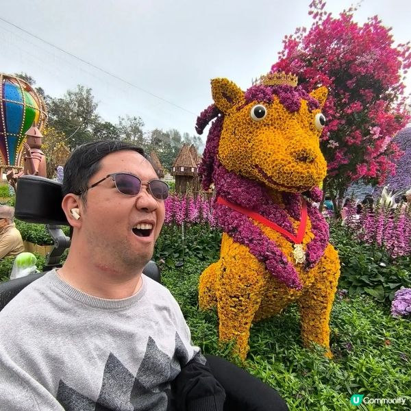 香港花卉展覽2024