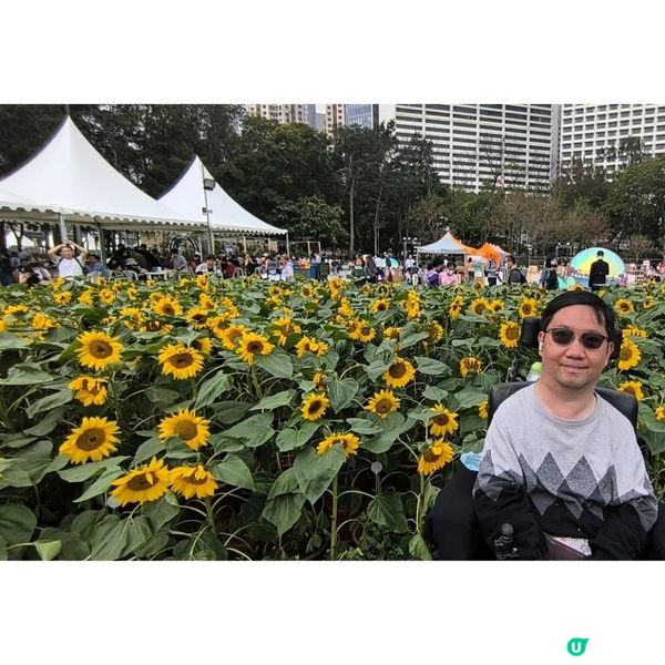 香港花卉展覽2024